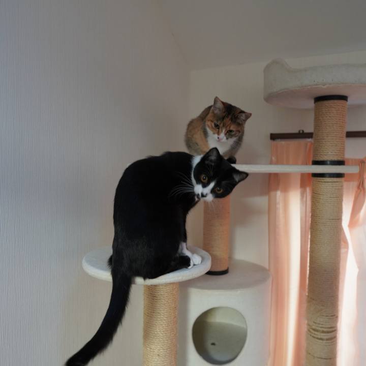 79c3ff4a 637b 4503 8b41 1d90f5d194ce 1582843210975