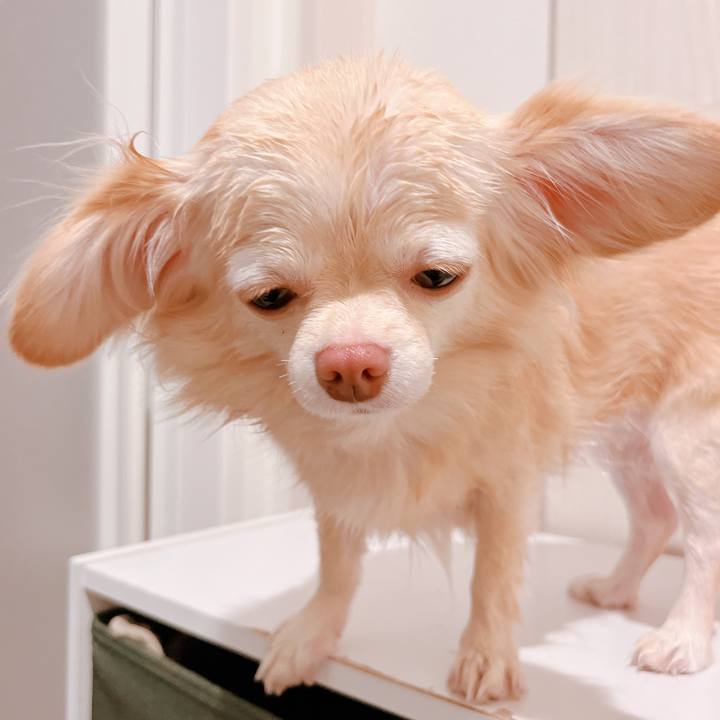 79c42b1e a195 400c bd8b debab9dbb3b8 1660823884876