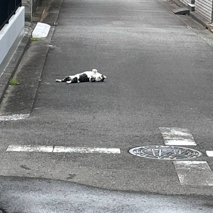 79c46334 9dc0 47a2 bd24 1518e8471fd5 1630581355722