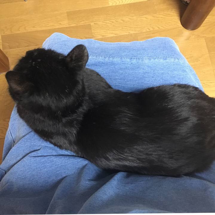 79c46953 942d 41c5 beeb 9b639139afe1 1552217757379