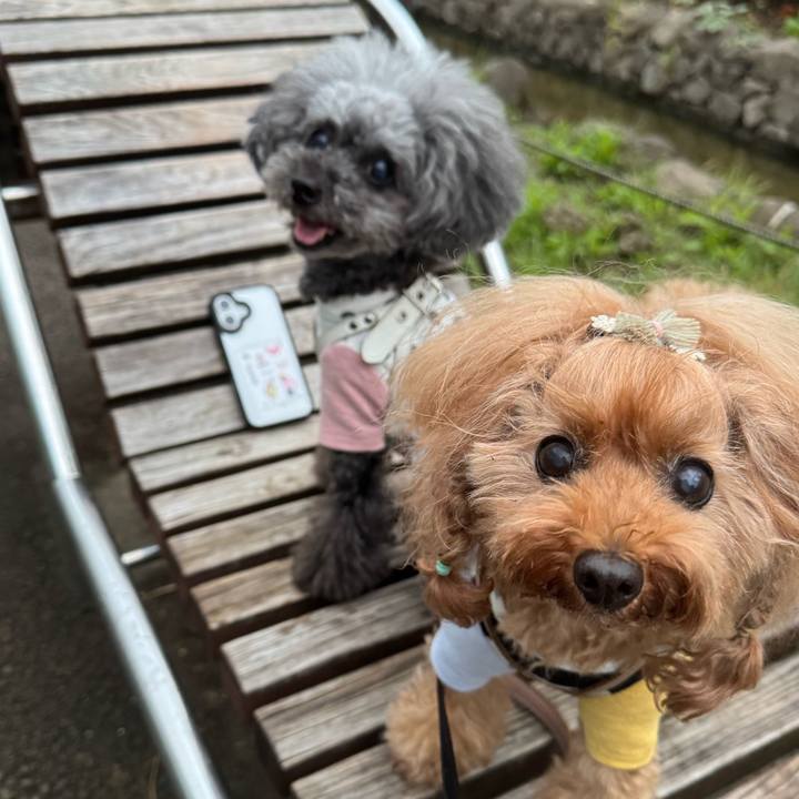 79c47885 1716 4588 ad3f a2f619674c97 1758927218300