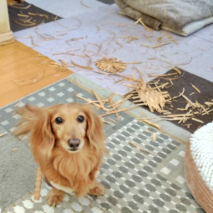 79c49fb5 89a6 4312 937f 27b74009abc2 1668073546363