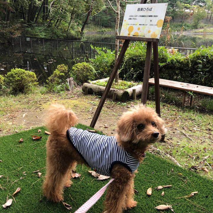 79c4ab70 032c 4e57 911a 2fd33385d250 1539604907365