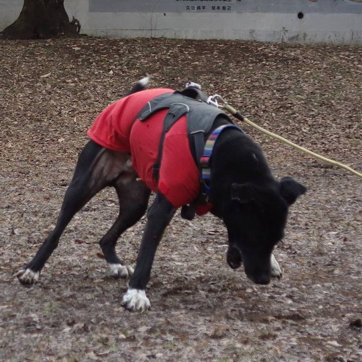 79c4ab8e 449a 4c24 bd22 632254b6ce62 1642900536012