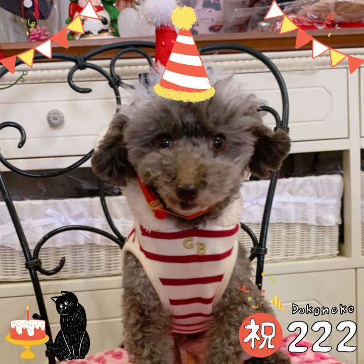 79c555fc 1914 49d5 9b0d b650597e87b3 1645503603148