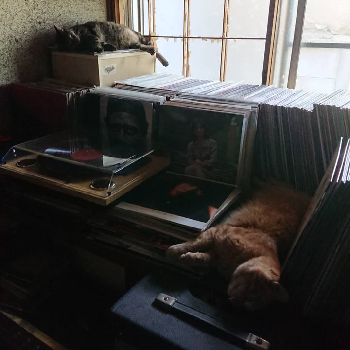 79c62505 b609 4c30 84c0 850b0b936244 1659158230876