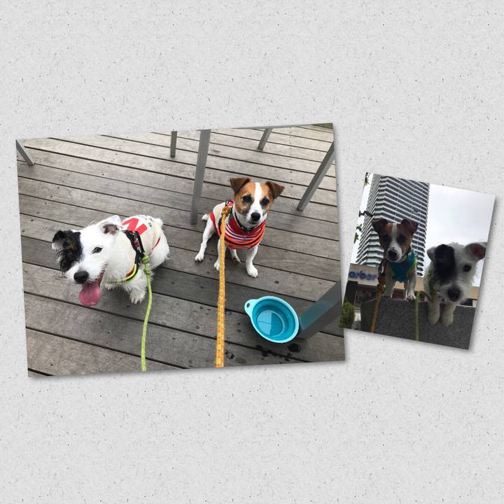 79c62ea3 bfad 4928 a5fe 7d911855fc58 1536190224463