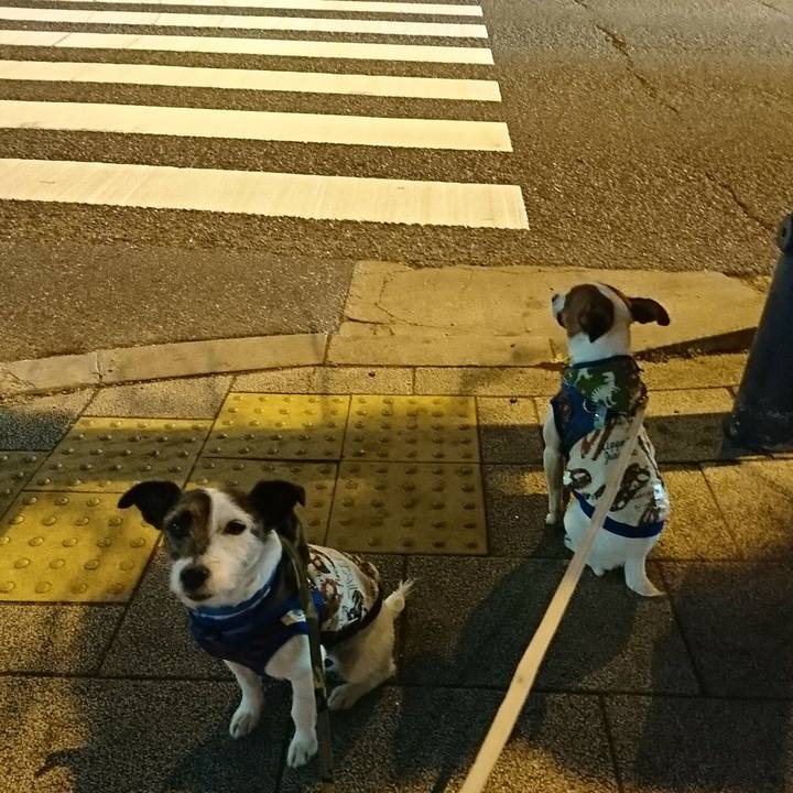 79c64c1b be40 48a6 9cfe fb155bba20d0 1550839124707