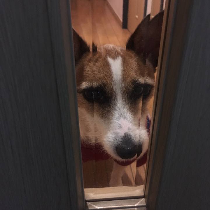 79c67460 58be 411a bdb0 07124aaca46d 1554938466636