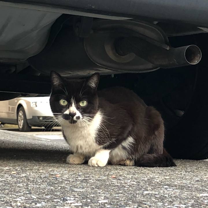 79c67954 6a20 4860 8d10 3897e1f684b0 1525548507980