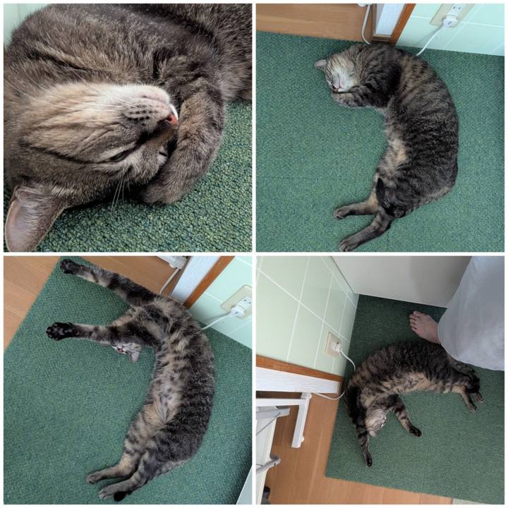 79c67b43 4ca3 4587 a87d 5a9e95e916dc 1755500939949