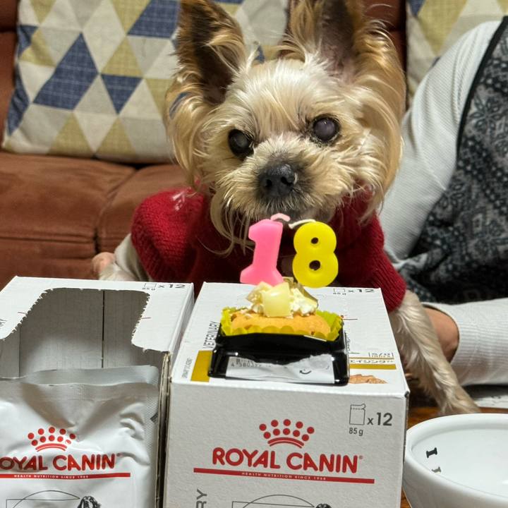 79c68d62 89e9 47dc bee2 d8f19c9d176b 1705049713529