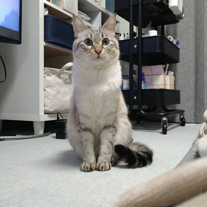 79c697af 1a91 45cb 89a7 435045f9c09c 1702204842160