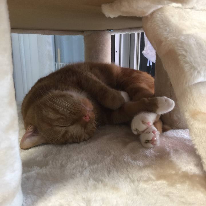 79c6b257 a311 4672 bfb3 8b8cbc921f5b 1595060761153