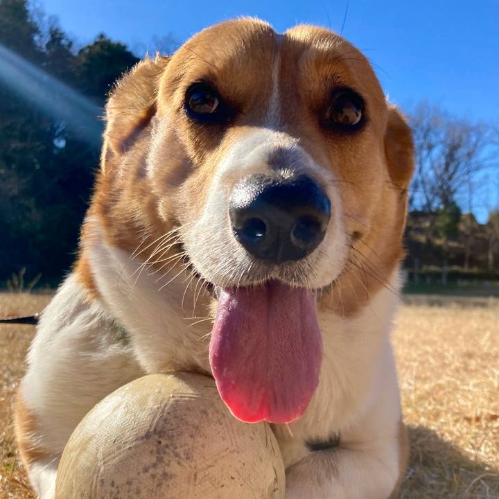 79c6dccd 4d2a 47d6 ad02 8cfeb3e4f97b 1705111825646