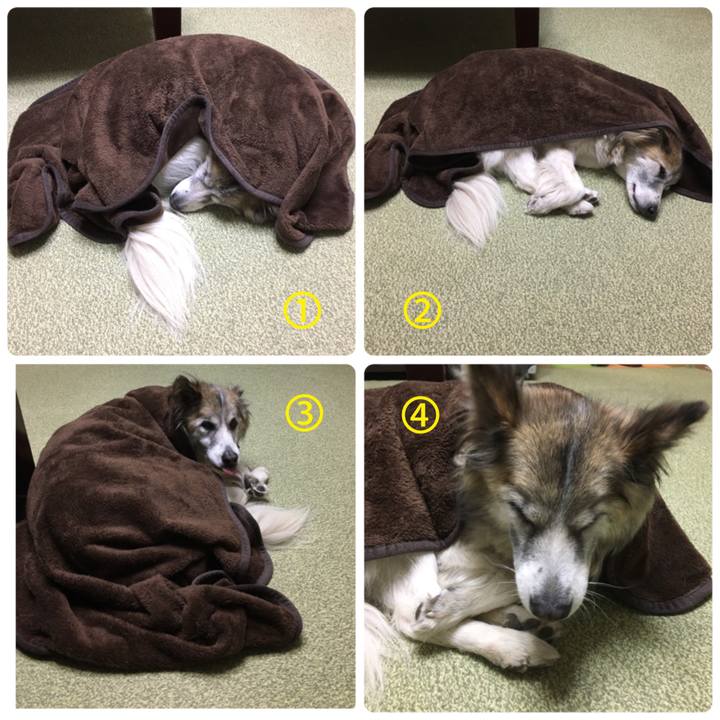 79c6dd3f 8895 4481 967b 8d2a014121a2 1513202288477