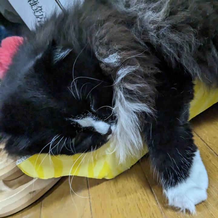 79c6e3fe 3a26 4213 a5fe 3825acf913dd 1692440693754