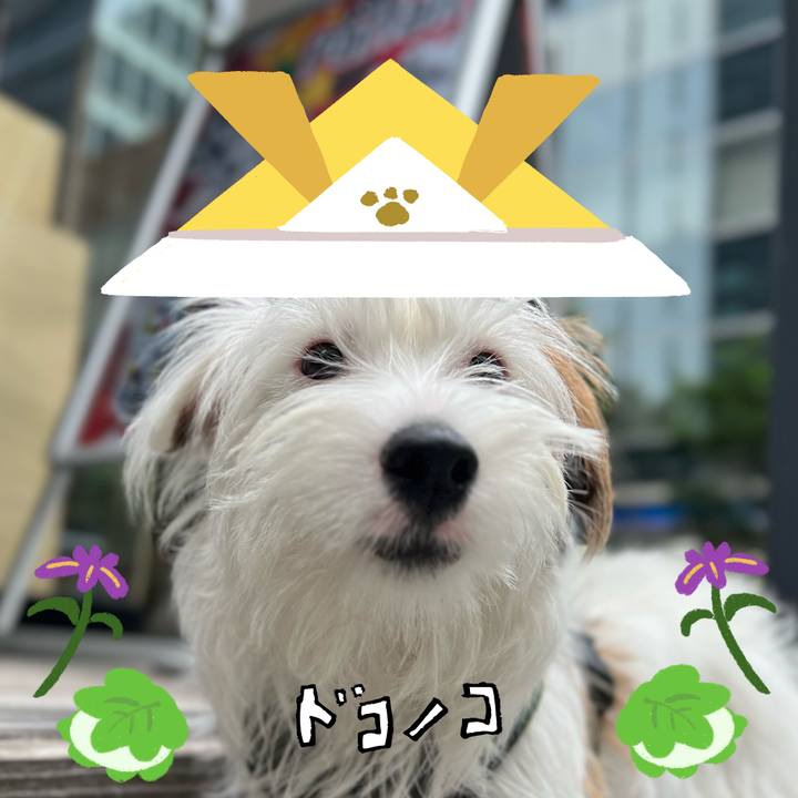 79c72ad6 1f76 446b 8717 c3c1d2db9535 1714998646213