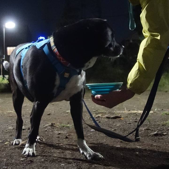 79c76316 992a 43be ab6c eb6c471141b2 1696502311401