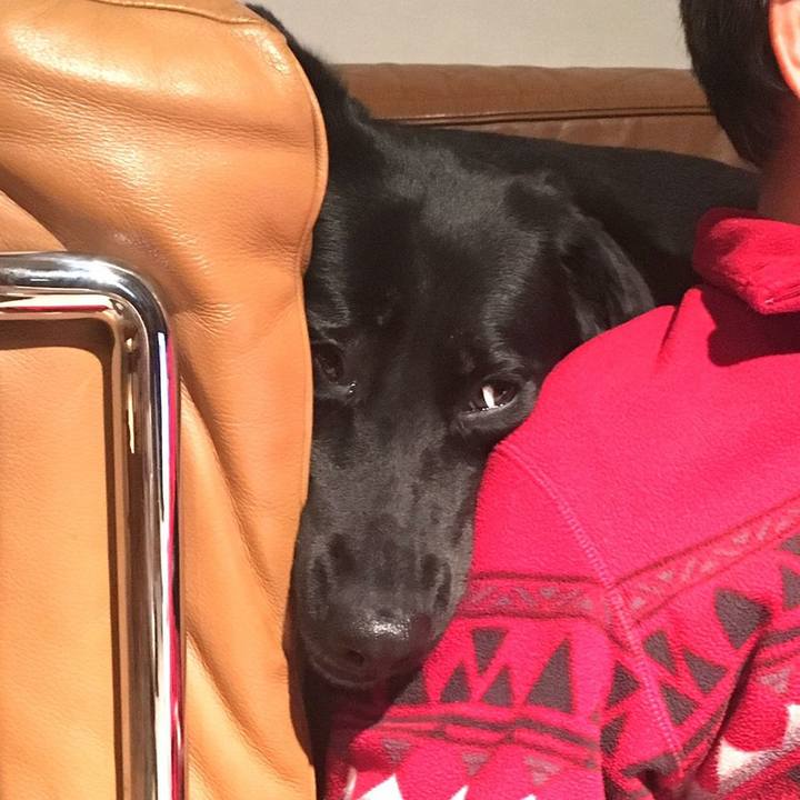 79c79643 5e65 407d 894b d66644b6aaf1 1572694178022