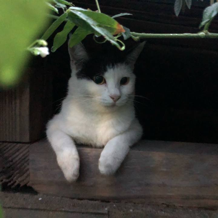 79c7e95e a4a5 4410 8e66 b555bcc856cb 1600335038026