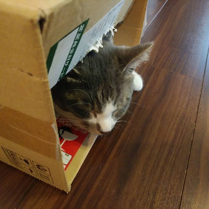 79c8254d 95e0 4fb9 ac5c e81accd9fd64 1588720818757