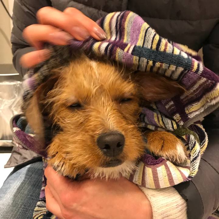 79c8605d f86d 4a65 bc50 2e3786a8c2c1 1521971995081