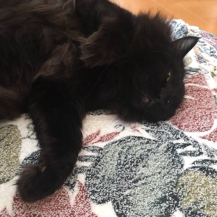 79c8cfff 7b5b 4ad0 aa6b a2a67fed5a07 1546650688023