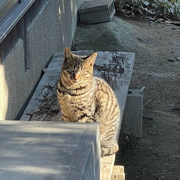 79c919b5 4a32 4f82 9879 b0e1528a75f6 1640257554698