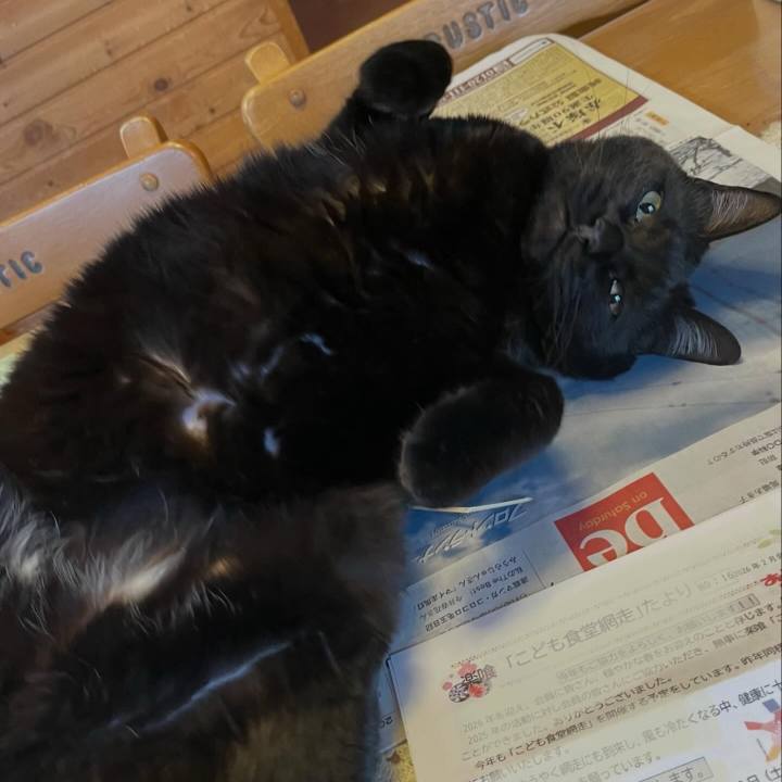 79c96d19 6c25 409e bcb2 3a5698e20471 1772868684586