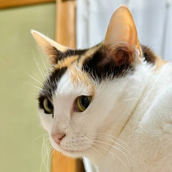 79c971fb 293f 406b b956 281403dfbac9 1679102056436