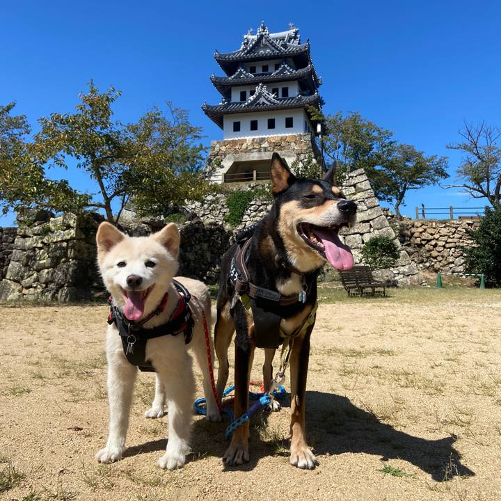 79c990e5 8741 4bde 8b2d 98164ca0ac06 1727397210902