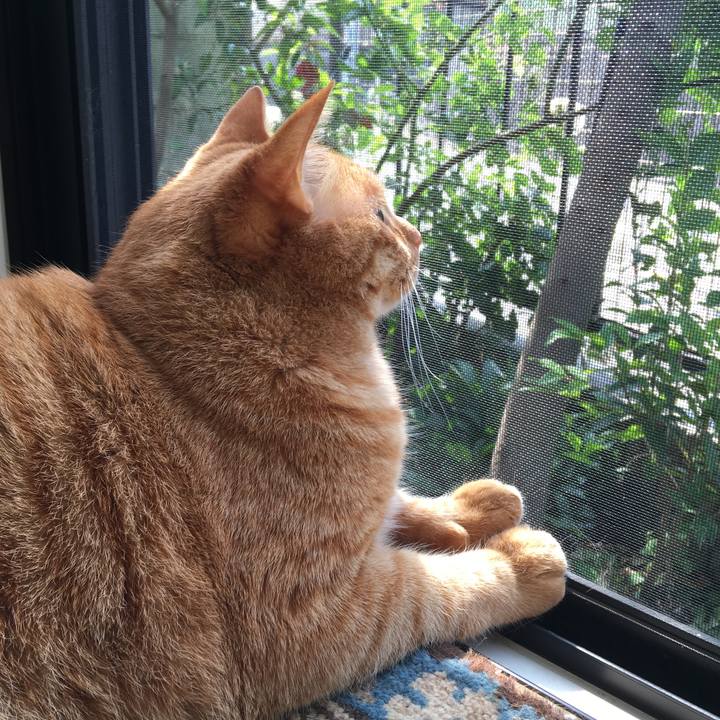 79c9acbd fddd 4703 bae0 c2fabf69607e 1558913734071