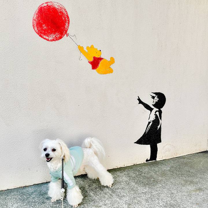 79c9ada4 1b2e 43d0 bc2c 58a9cfa09a2c 1676525515509