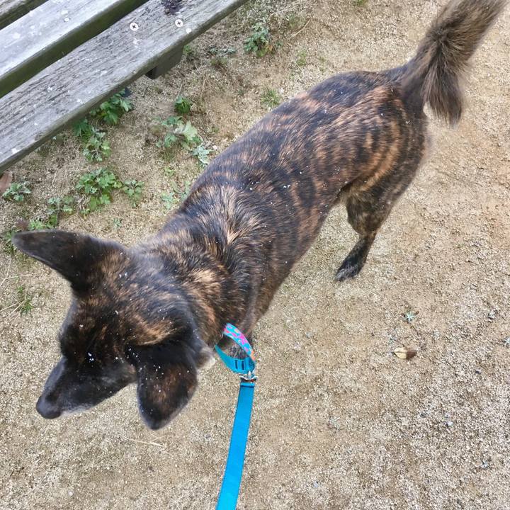 79c9b401 b723 4839 ad80 6ebc775ab660 1517823493039