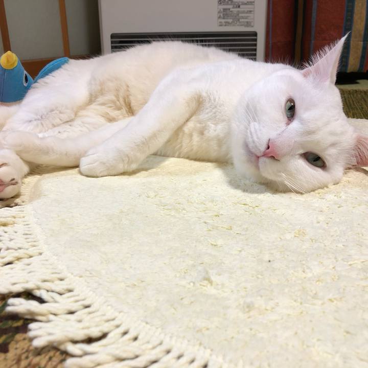 79c9d038 a07d 457c a014 fc778c9bd685 1607871897862