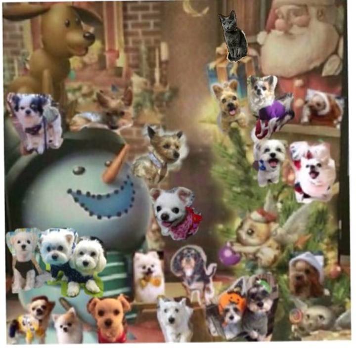 79c9fa19 eaab 49d4 9343 c93afbd70278 1513077465119