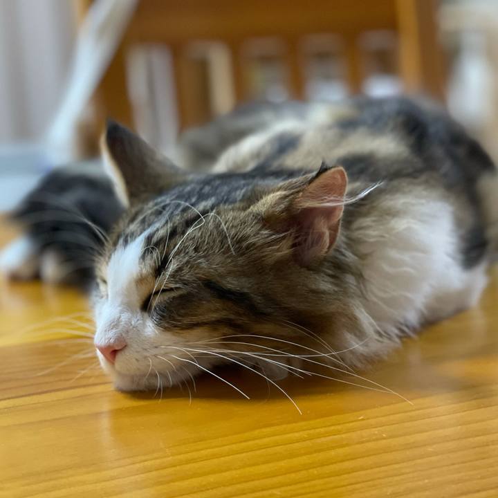 79ca139a 916c 4925 99ff 35f3ff0343f9 1636539549418