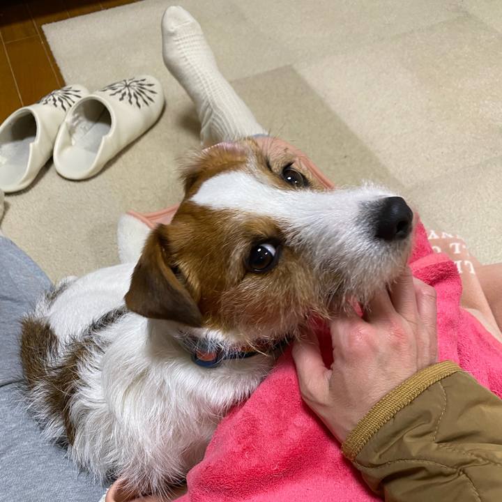 79ca22b3 8ecc 4f61 892e 446b24311869 1711199991925