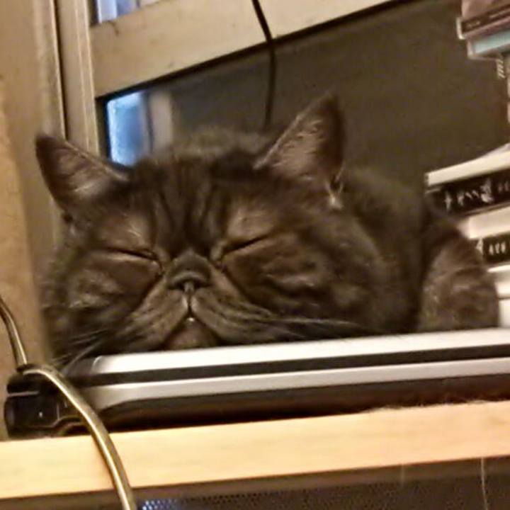 79ca5873 5527 4a7d 905b 67649315bc89 1563605621226