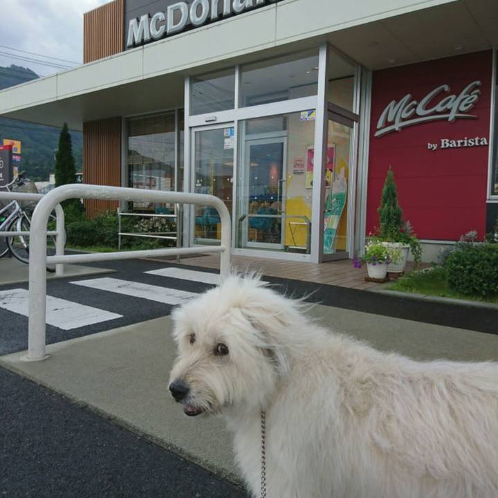 79caa494 50b0 4e30 a8c6 dfbb4ff0258a 1661650166296