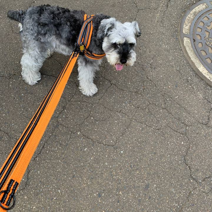 79caec1a 933a 4e7e b506 91846910fe68 1659437659210