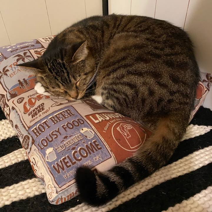 79cb2a26 4adc 4040 9137 69850cda3518 1576328073189