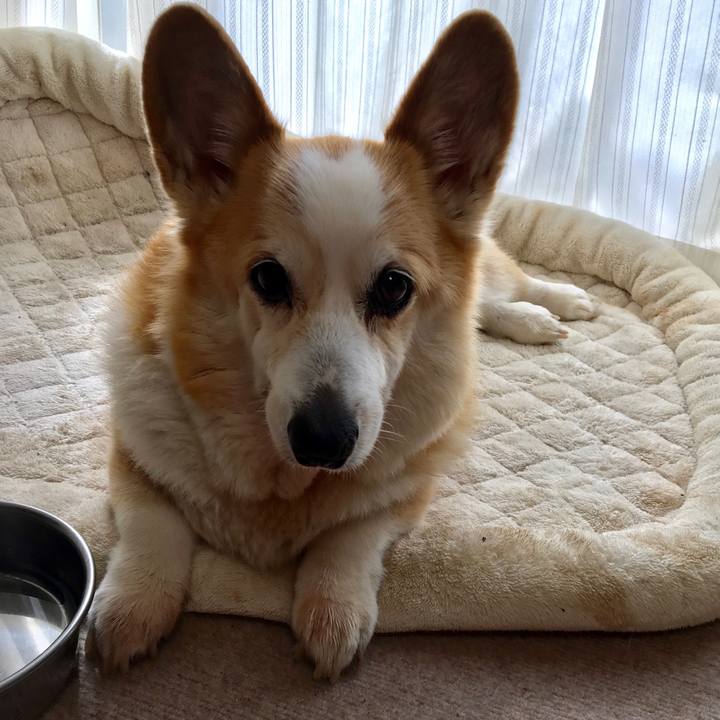 79cb36af 3a90 4416 a45a 4ddfee09e935 1552353734505