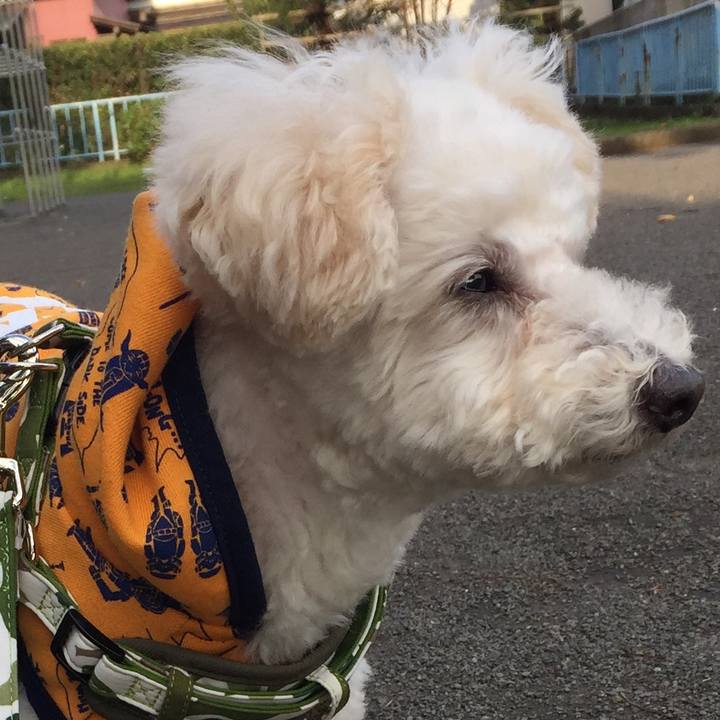 79cb3d42 511d 458b 972d 0d32b1dfda7e 1510412973422