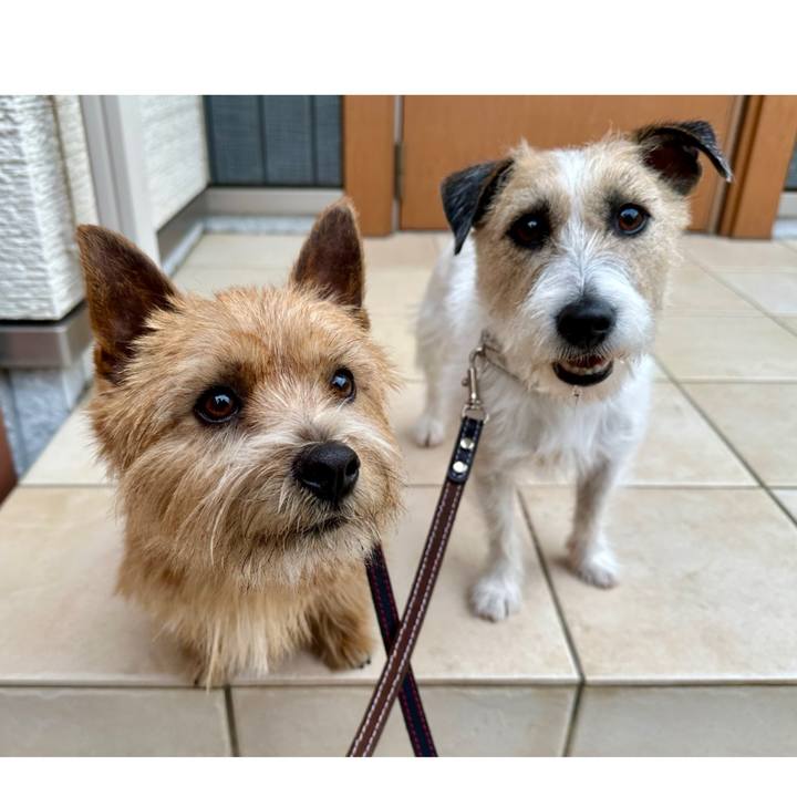 79cb4a76 88ba 49b1 8d18 c609f17e4946 1739699519394