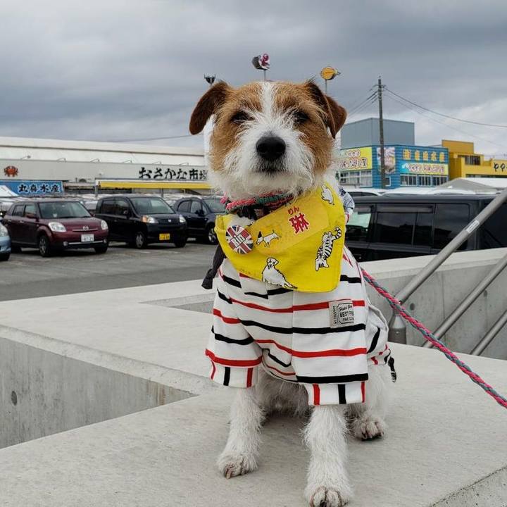 79cb516e dd5b 4a2d 9930 fed7b926ba4c 1582956951339