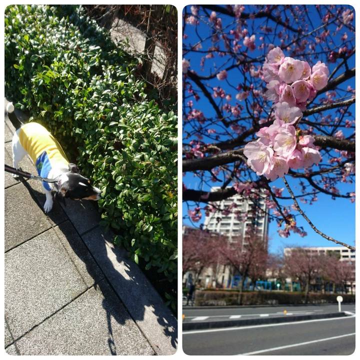 79cb8f49 ebc2 4a17 8bf5 4b0021ef7d60 1552022190620