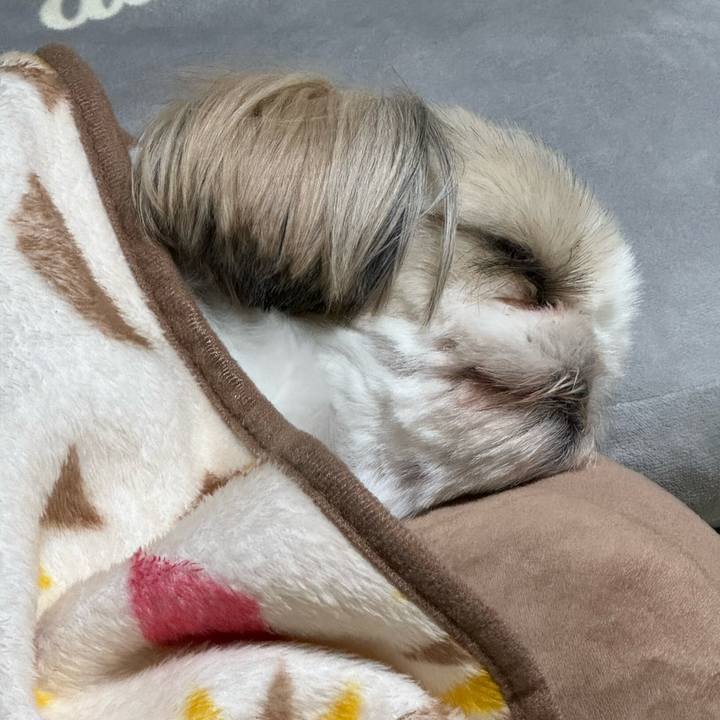 79cb9443 c05c 42b3 83c9 9563756eb6a5 1732110153235