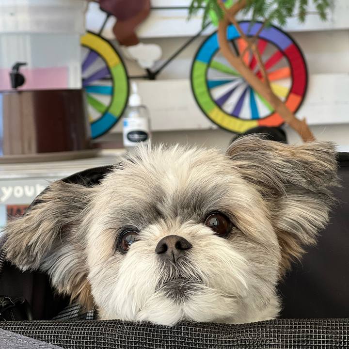 79cbac8b 28cf 4de8 979c 50f291975c91 1643877136885